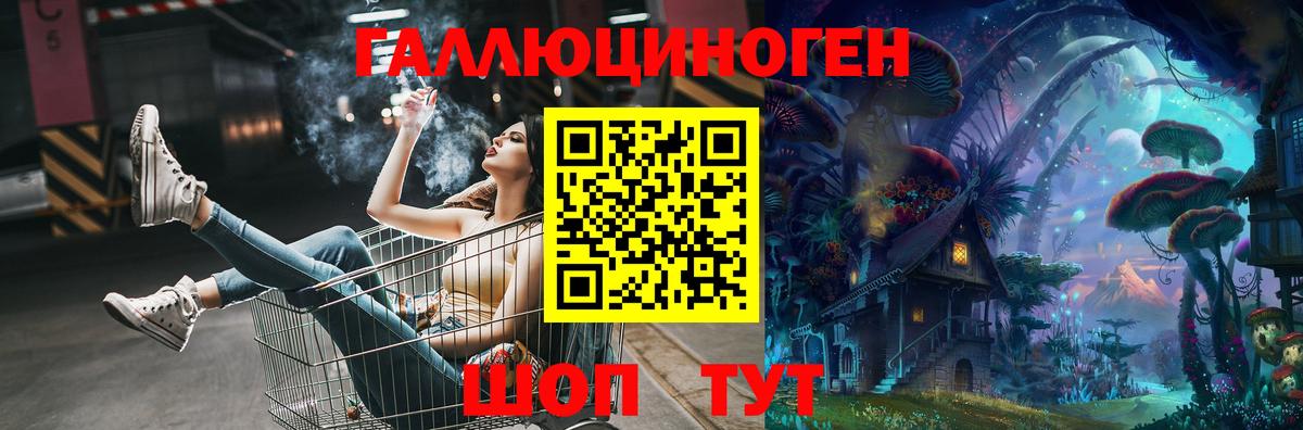 Псилоцибиновые грибы мицелий Новороссийск